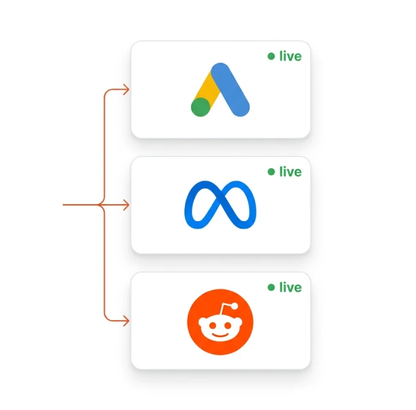 Launch — Publish paused
